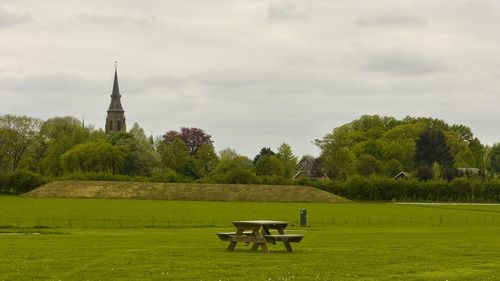 Trees and grass on field against sky