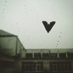 Close-up of airplane flying through window in rainy season