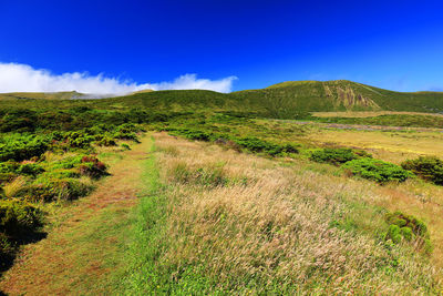 Scenic view of landscape against blue sky