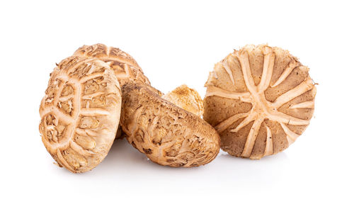 Close-up of cookies against white background