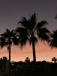 Silhouette palm trees against sky during sunset