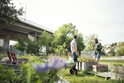 Mid adult couple gardening together in urban garden