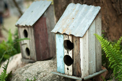 Close-up of birdhouse on wood against building