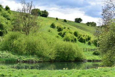 Scenic view of landscape