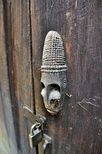 Close-up of old door knocker