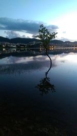 Trees by lake against sky