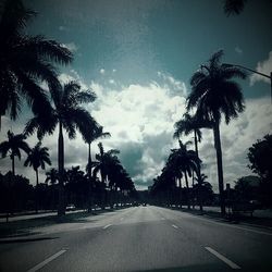 Empty road with trees in background