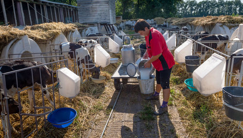Man pouring milk from bucket by hutch at dairy farm