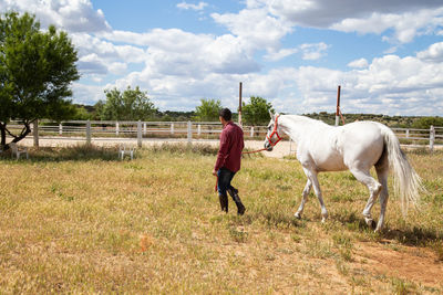 Rear view of man walking with horse on ranch against sky