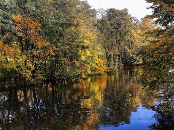 Reflection of trees in lake during autumn