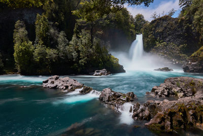 Scenic view of waterfall in forest