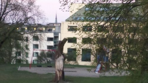 Building with trees in background