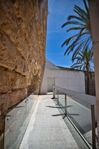 Footpath amidst palm trees and wall of building