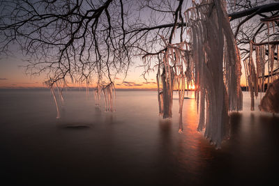 Bare trees by lake against sky during sunset