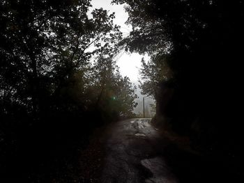 Road amidst silhouette trees in forest against sky