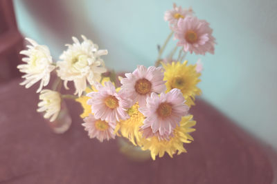 Close-up of flowers