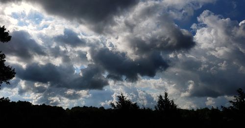 Low angle view of silhouette trees against storm clouds