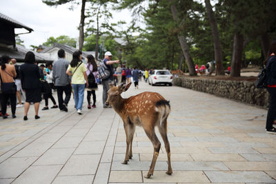 People on footpath in city