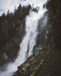 Scenic view of waterfall in forest