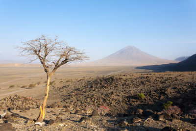 View of a desert