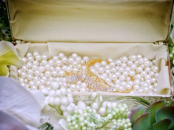 Close-up of white flowers for sale