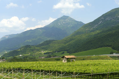 Scenic view of field and mountains against sky