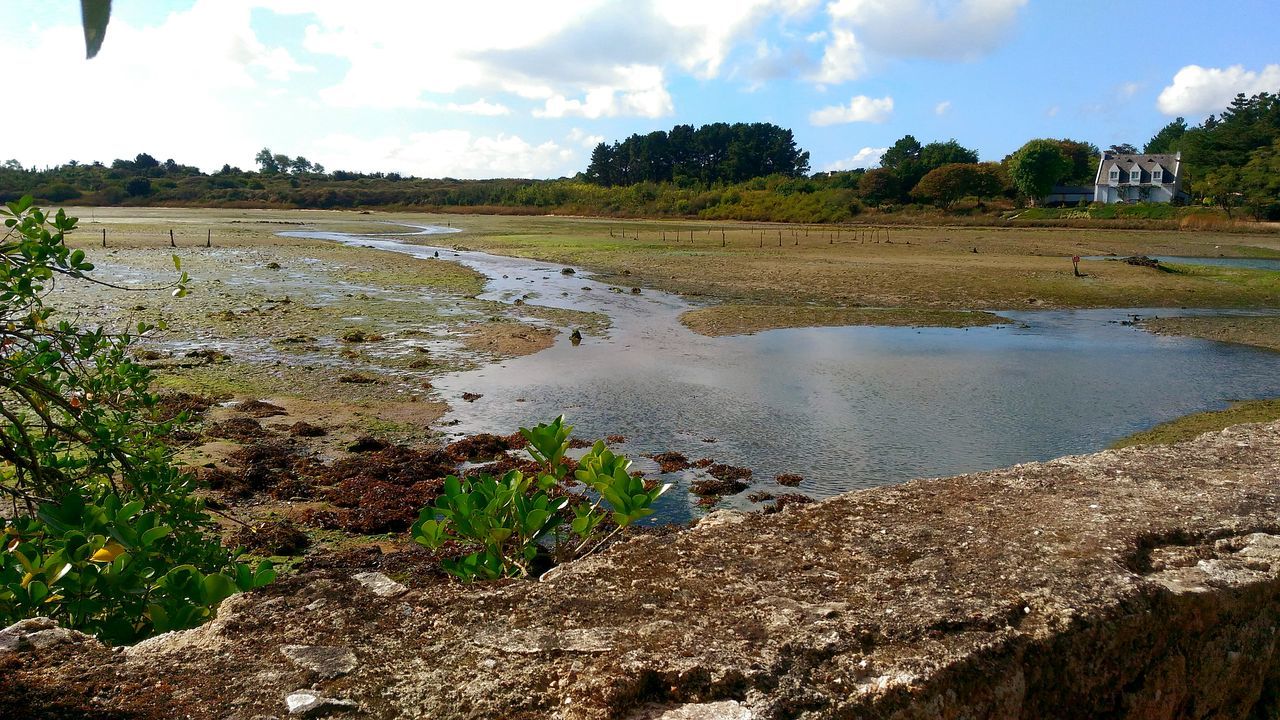 View of the golfe