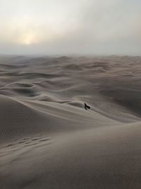 Scenic view of desert against sky