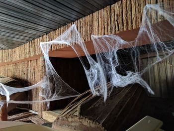 Close-up of broken roof