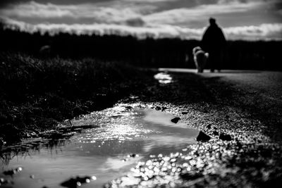 Rear view of man walking in water