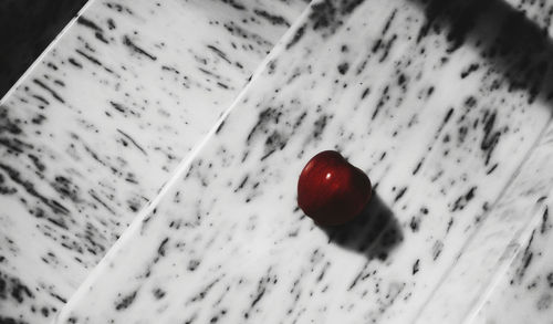 Close-up of red object
