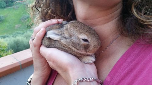 Midsection of woman holding bunny