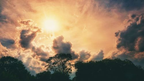 Low angle view of silhouette trees against sky during sunset