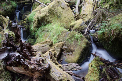 Stream flowing through rocks