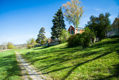 Scenic view of trees and houses on field against blue sky