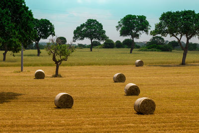 Puglia country side hay bales