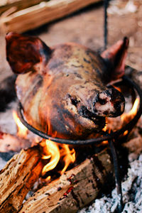 Close-up of crab on barbecue grill