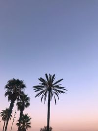 Low angle view of silhouette palm trees against clear sky