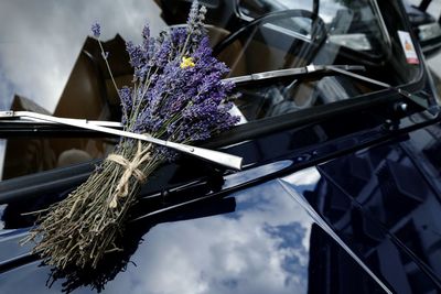 Levender bouquet on a windshield 