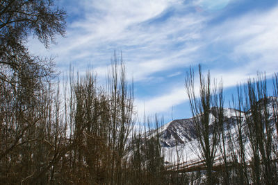 Bare trees on snow covered land against sky