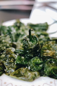 Close-up of food on table