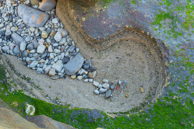 High angle view of crab on rock