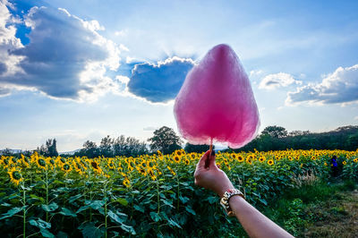 Cropped hand of woman holding cotton candy at farm against cloudy sky
