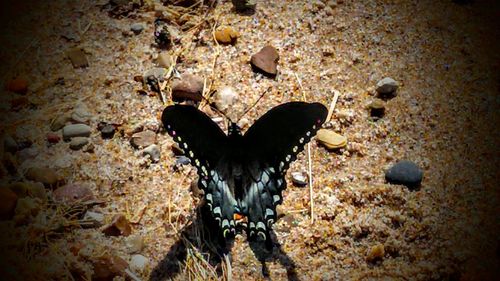 Close-up of black background