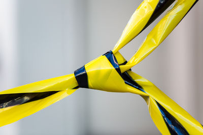 Close up of yellow flower