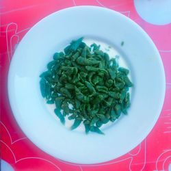 Close-up of food on plate