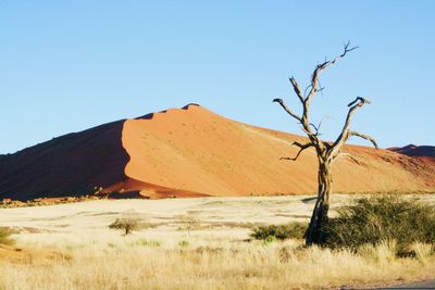 Scenic view of desert against clear blue sky