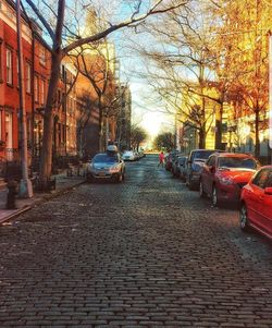 Cars on street in city