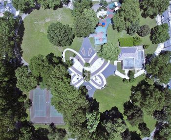 High angle view of trees and plants