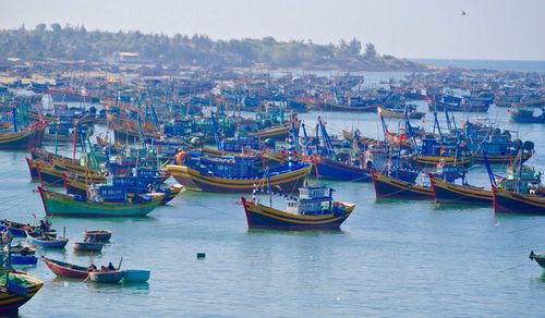 Boats in harbor